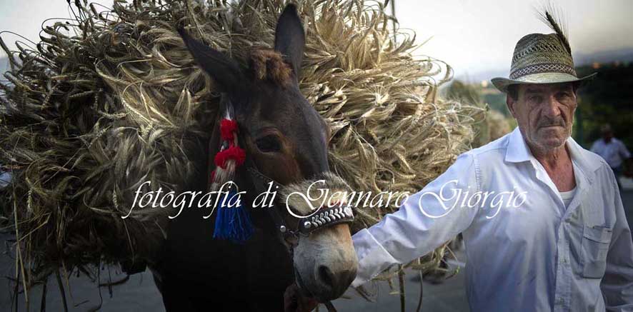 "Faicchio, festa del grano"